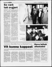 Síða 3