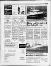Síða 6