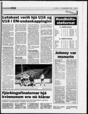 Síða 17