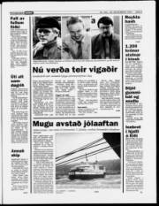 Síða 5