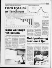 Síða 6