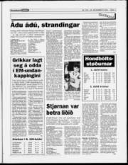Síða 11