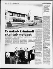 Síða 6