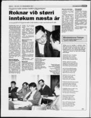 Síða 8