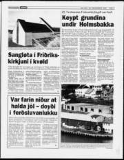 Síða 7
