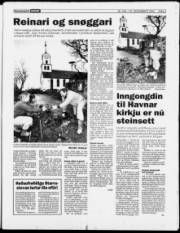 Síða 3