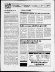 Síða 2