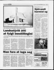 Síða 11
