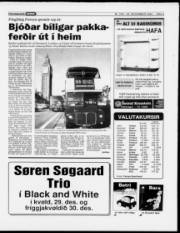 Síða 3