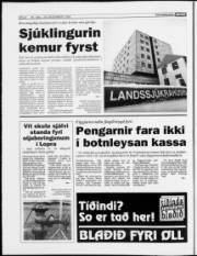 Síða 6
