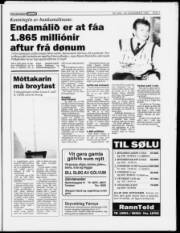 Síða 7