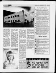 Síða 13