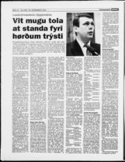 Síða 14