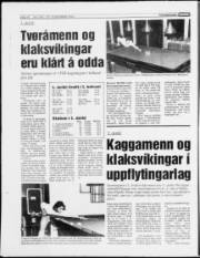 Síða 16