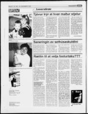 Síða 22