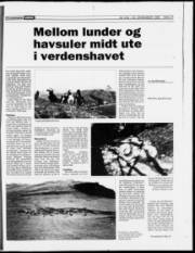 Síða 17