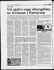 Síða 24