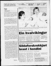 Síða 1