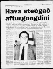 Síða 11