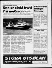 Síða 3