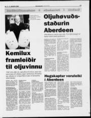 Síða 13