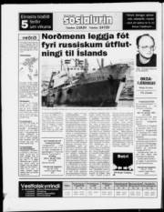 Síða 20