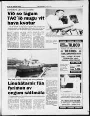 Síða 3