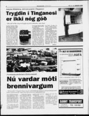 Síða 4
