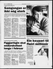 Síða 3