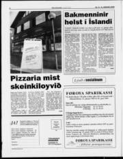 Síða 8
