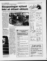 Síða 13