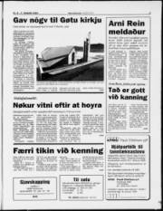 Síða 3