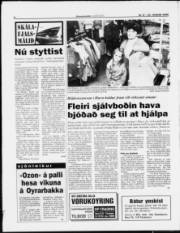 Síða 4