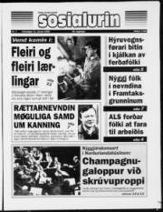 Síða 1