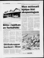 Síða 5