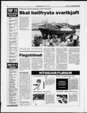 Síða 6