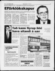 Síða 3