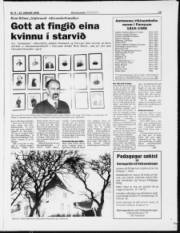 Síða 13