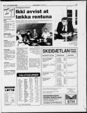 Síða 15