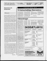 Síða 2
