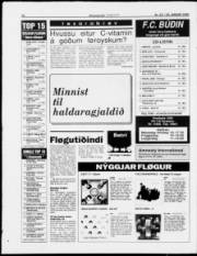 Síða 12