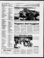 Síða 13