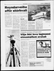Síða 6