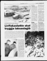 Síða 12