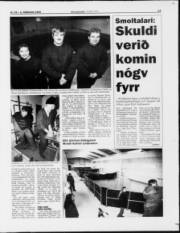 Síða 13