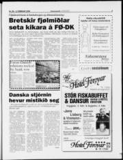 Síða 3