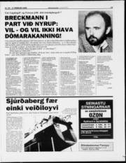 Síða 13