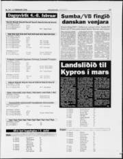 Síða 17