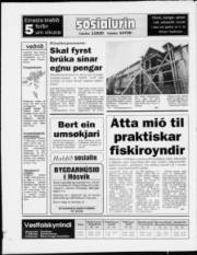 Síða 20