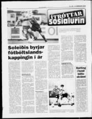 Síða 6